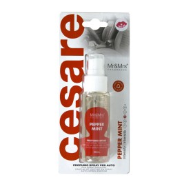 Освежувач CESARE Spray Peppermint Mr&Mrs